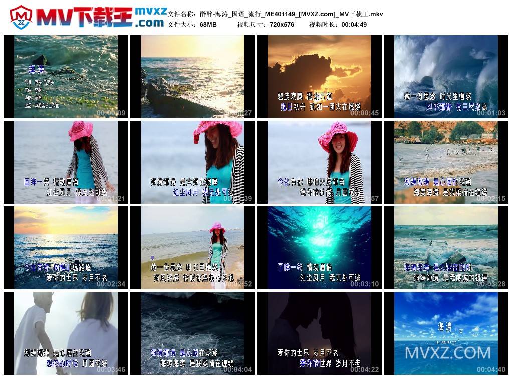 醉醉-海涛_国语_流行_ME401149